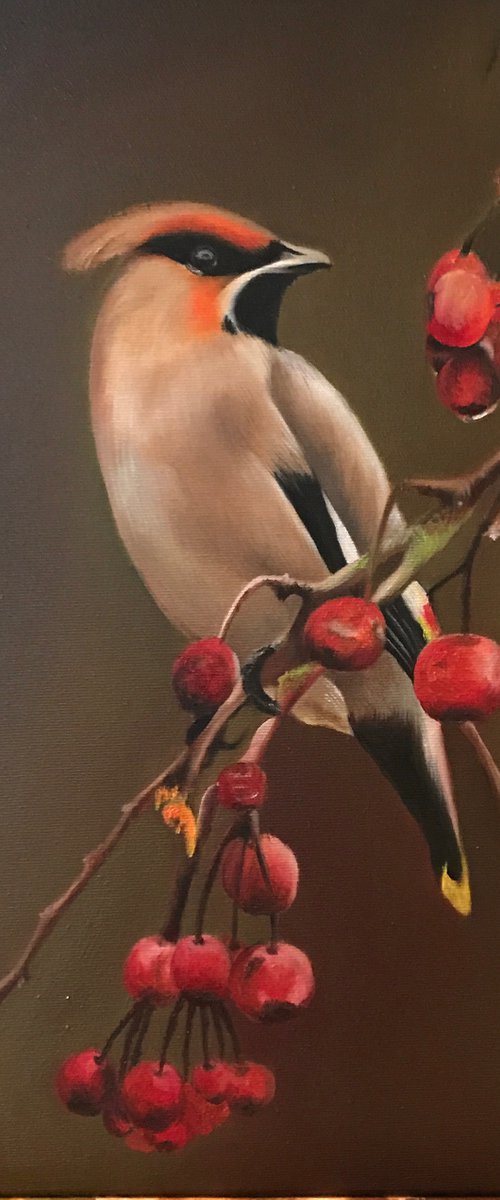 Bird by Farzaneh Maddahi