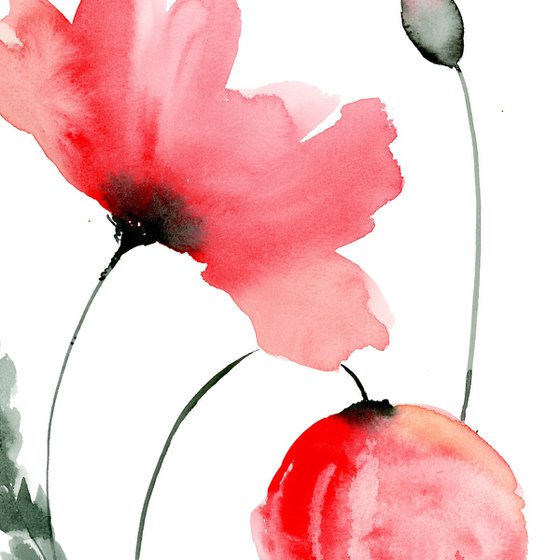 Lovely Poppies watercolor
