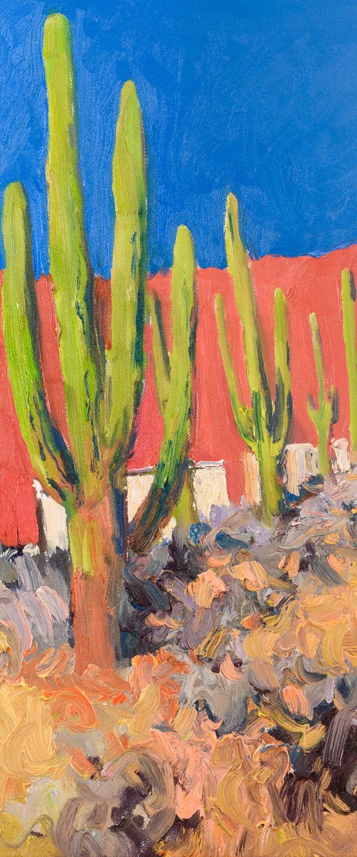 Desert Vibrance. Saguaros by Suren Nersisyan