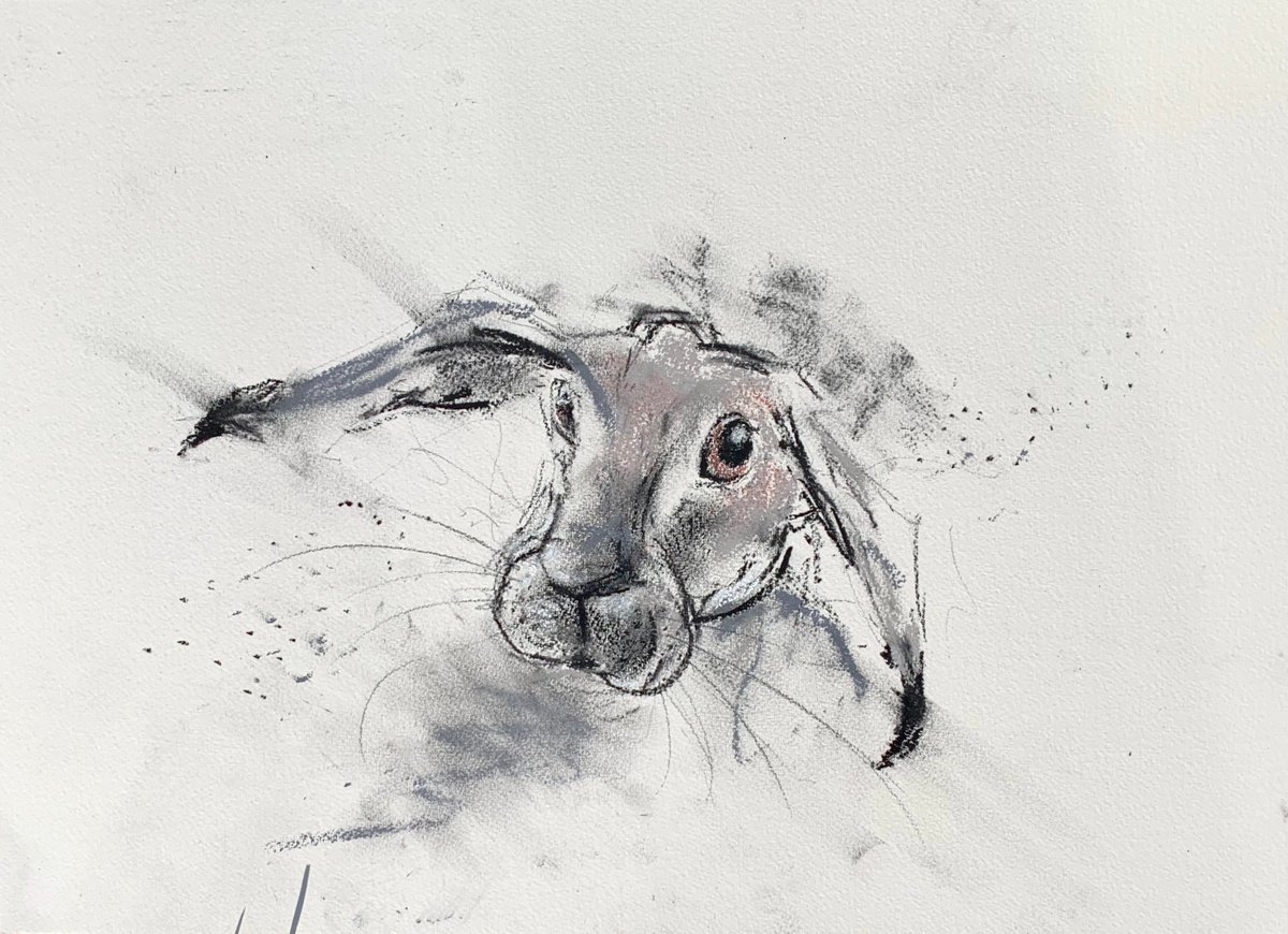 March Hare by Paul Mitchell