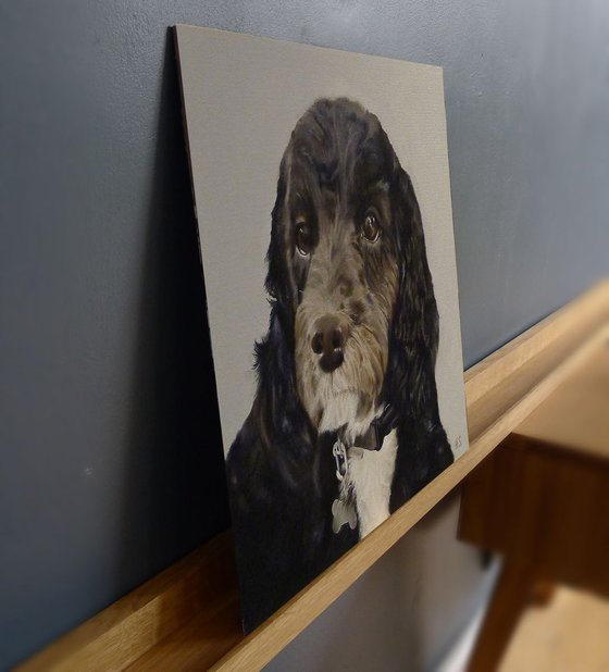 Cockapoo Dog Portrait