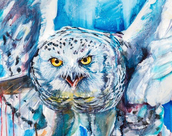 Snowy owl