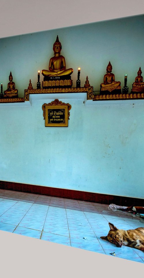 Temple Dogs of Laos No.7 by Serge Horta