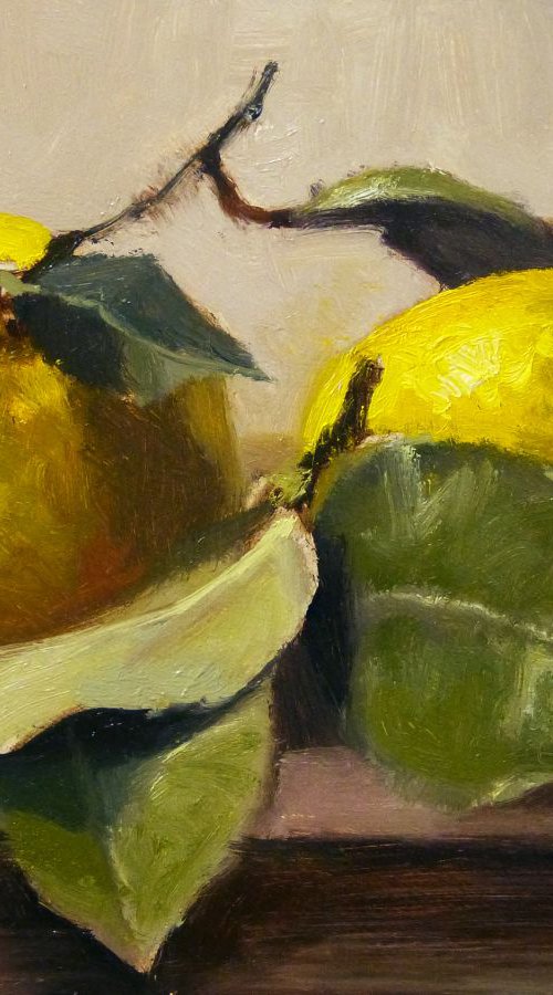 2 Lemons by Pascal Giroud