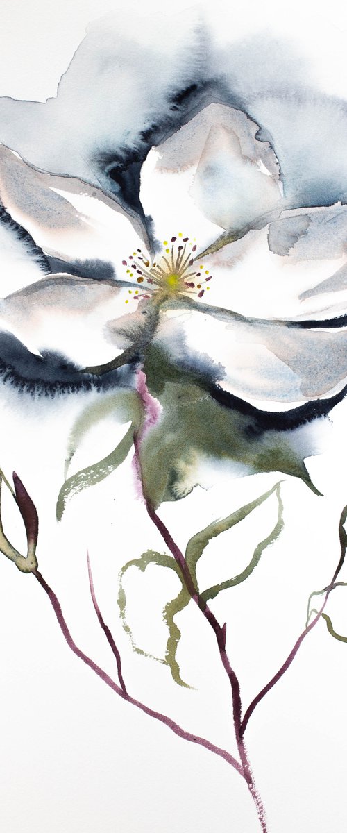 Wild Rose No. 2 by Elizabeth Becker