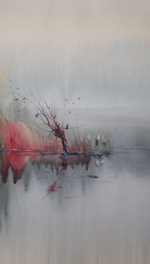 "After storm" by Iulia Carchelan