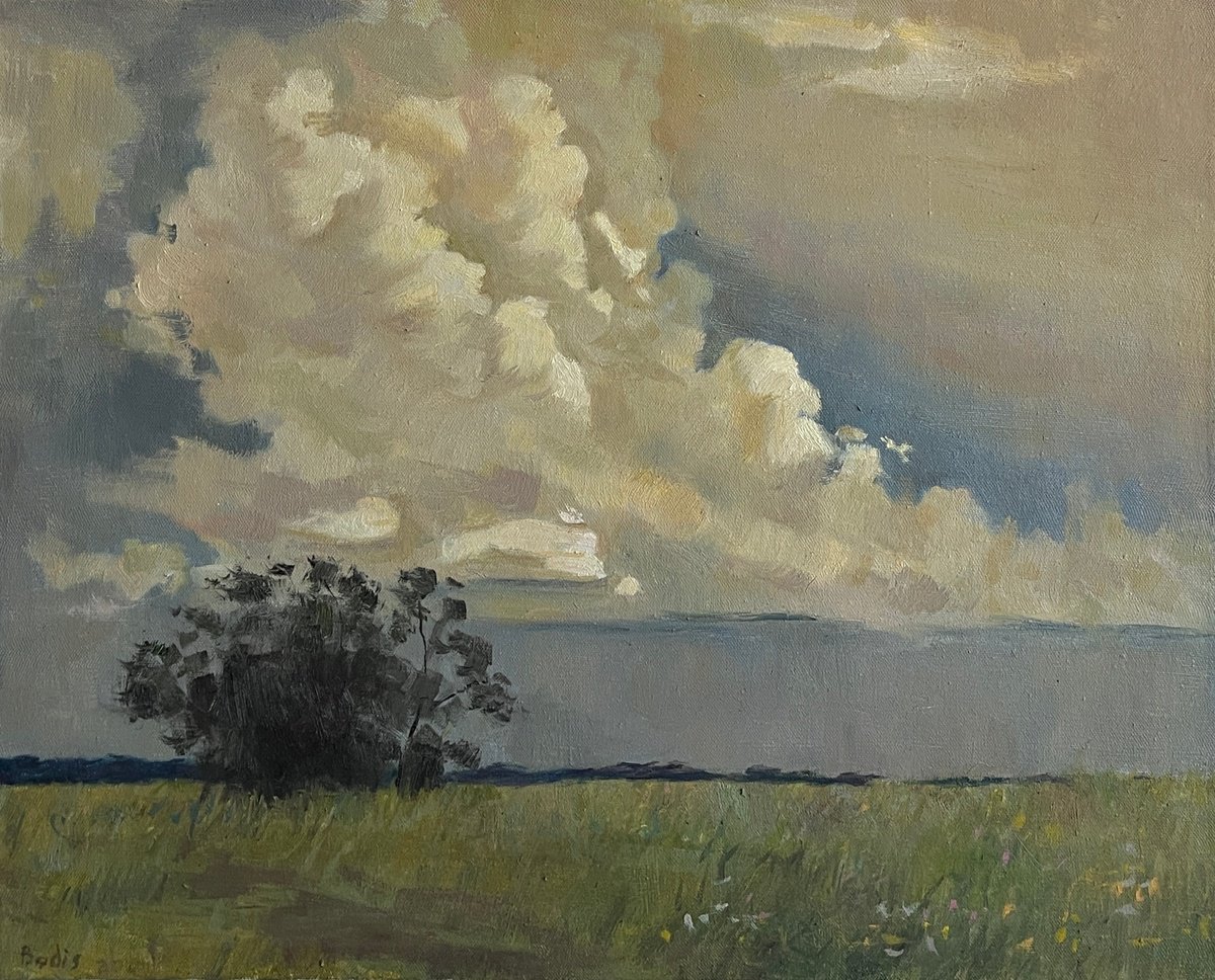 Summer clouds by Bohdan Dobrivskyi