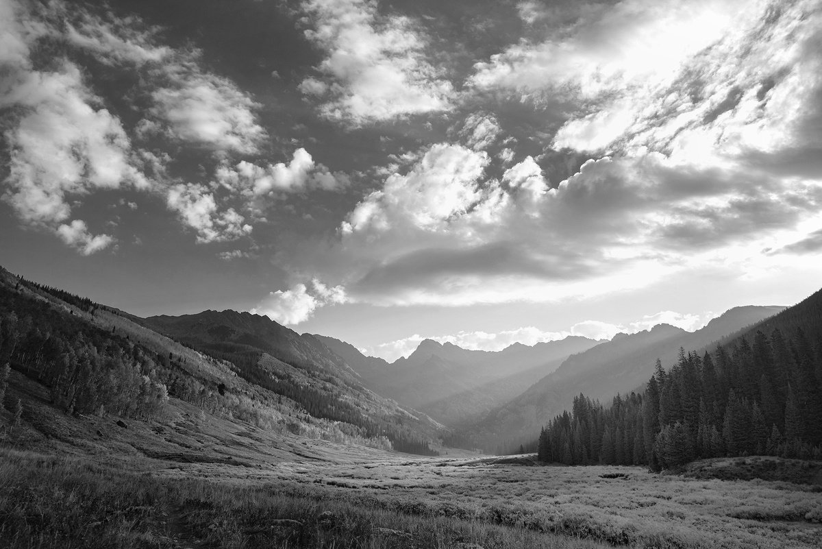 Photorealistic Landscape Photograph By Emily Kent, 30 X 20, Morning Path, Original Artwork