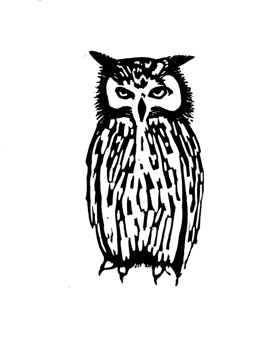 Owl by Drusilla Cole