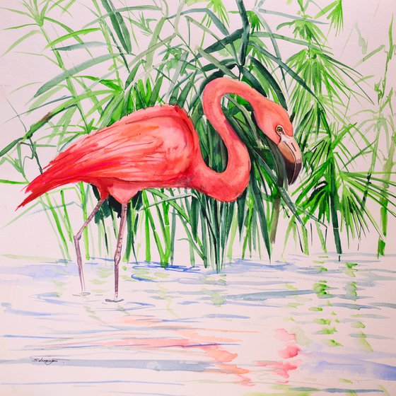 Flamingo