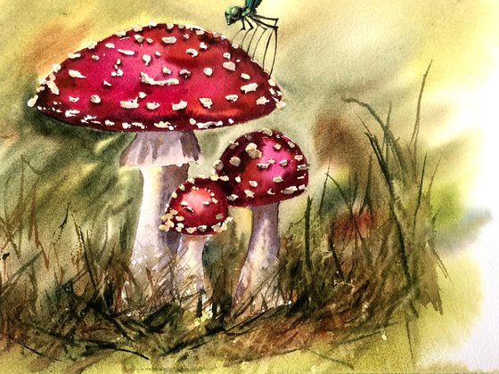 Mushrooms and dragonfly