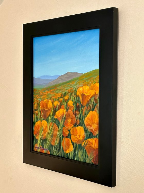 California Poppies