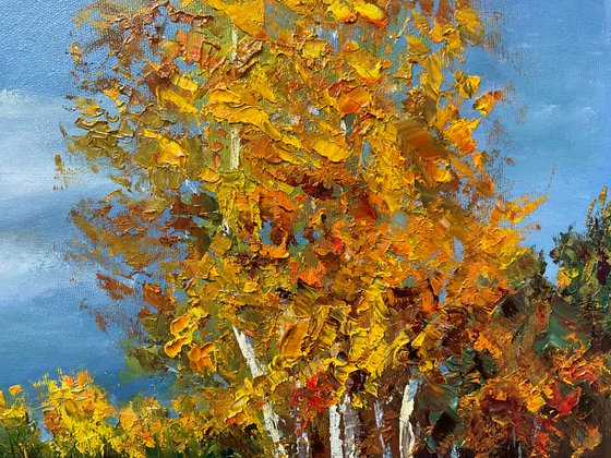 Sun after rain. Autumn