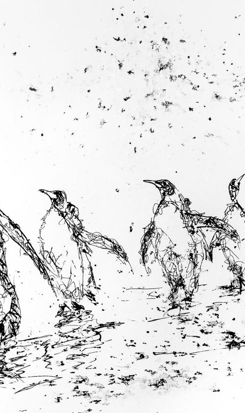 Emperor Penguin by Victor de Melo