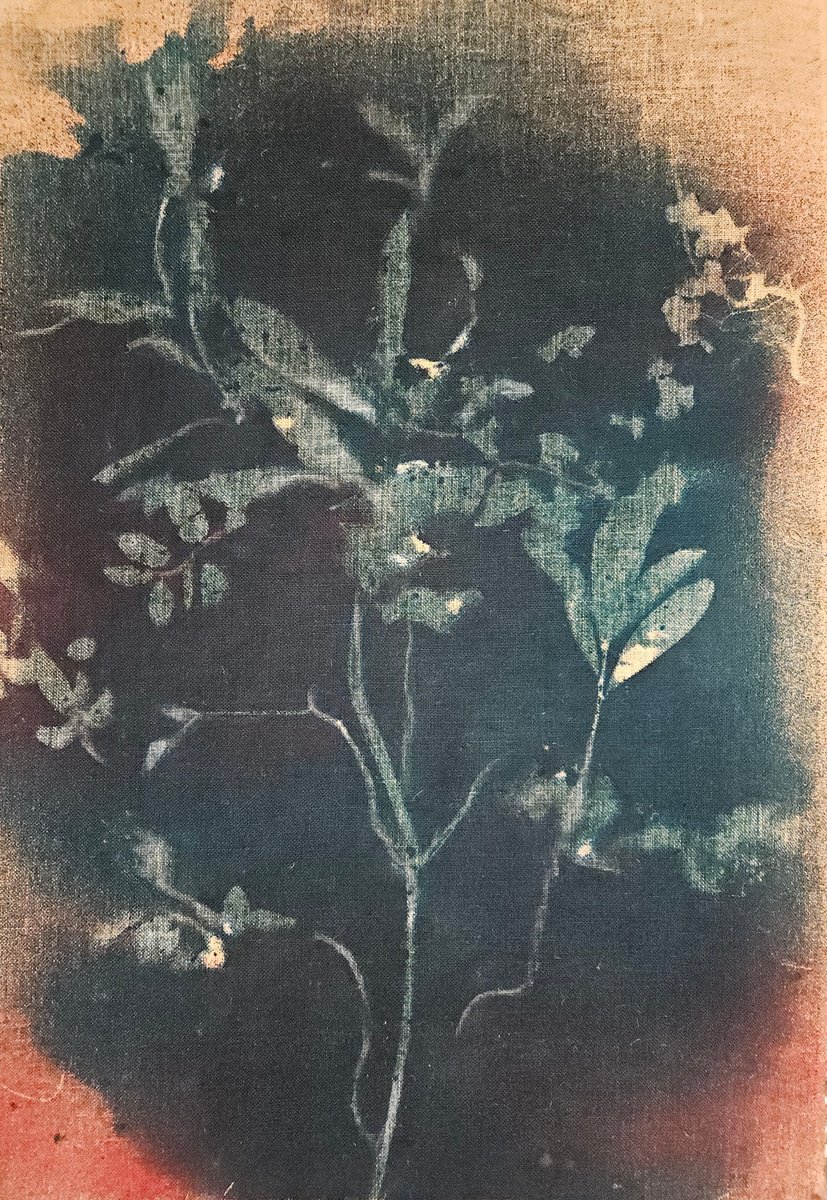 Surrealistic Botanical Acrylic Painting By Stefano Mazzolini, 39 X 59", Rf6566 Double-Sided, Original Artwork