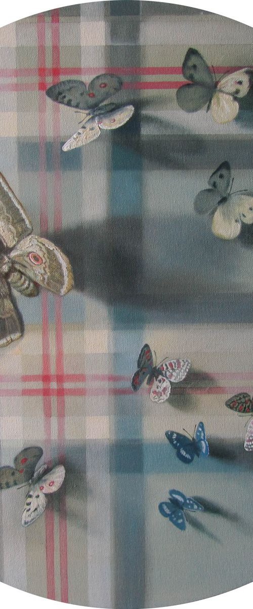 Butterflies on tartan pattern by Yuriy Matrosov
