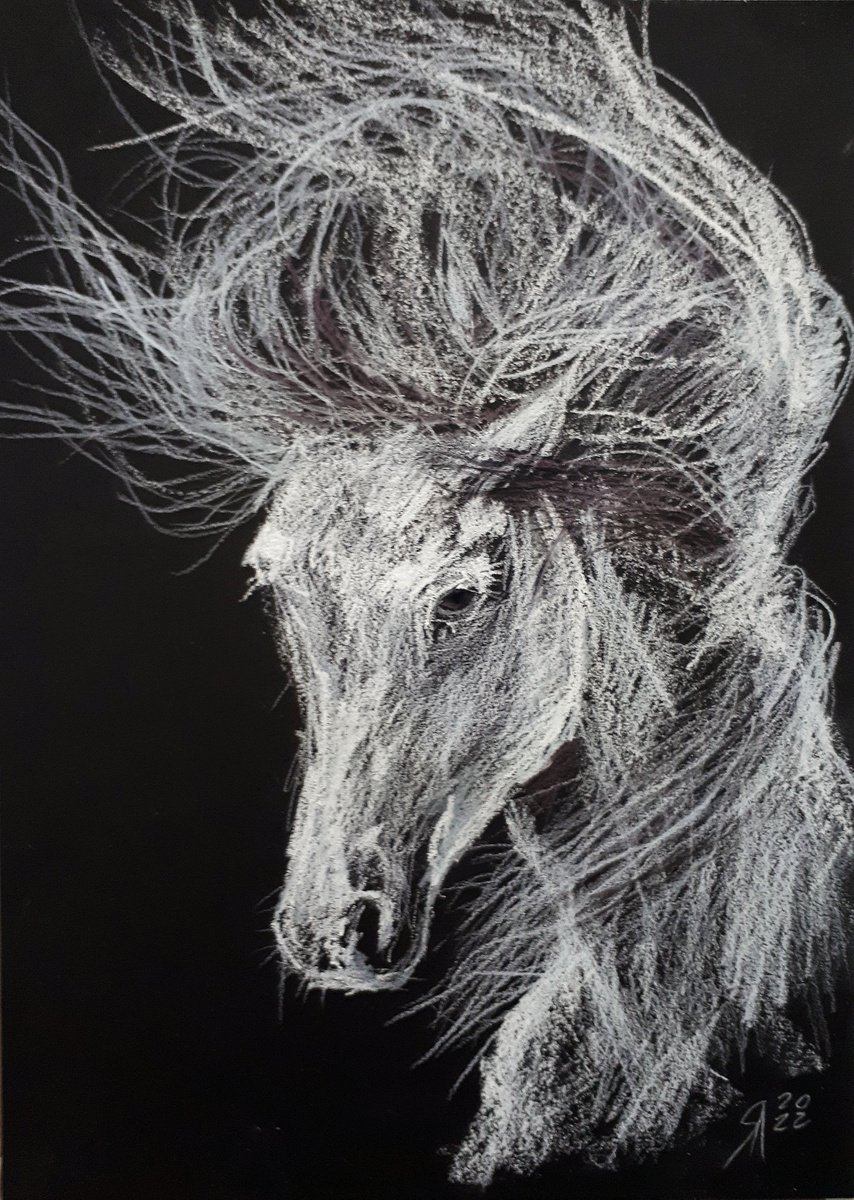 Animal Charcoal Drawing By Salana Art / Svetlana Samovarova, 8 X 12", Horse I, Original Artwork