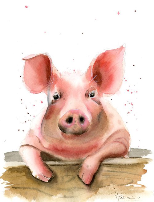 Pig portrait by Olga Tchefranov (Shefranov)