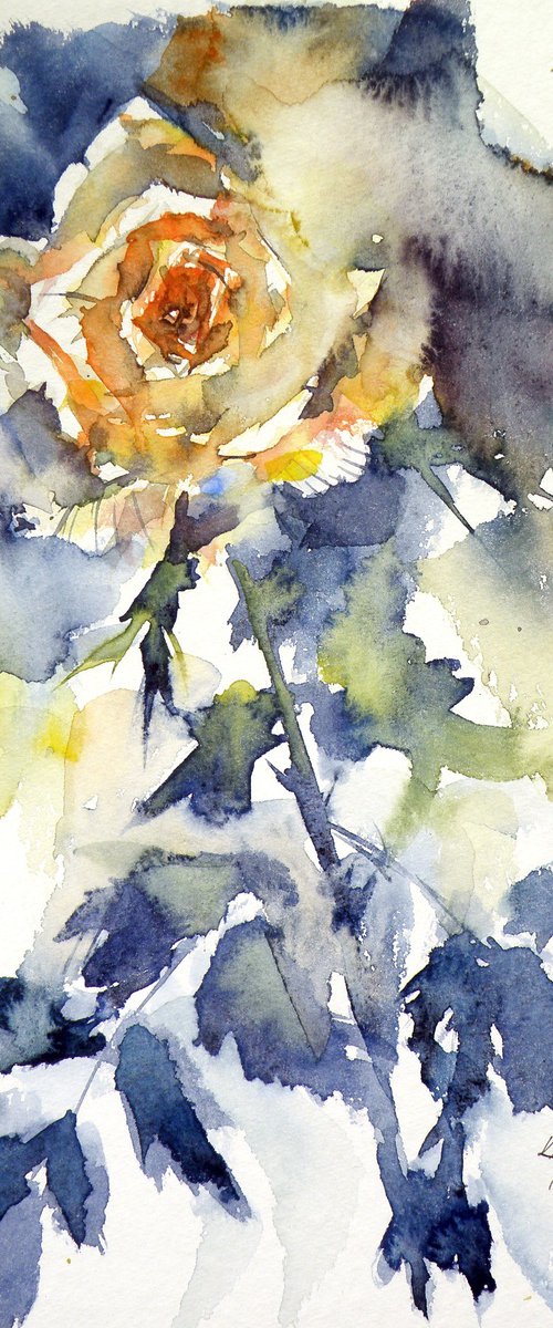 Yellow rose II by Kovács Anna Brigitta