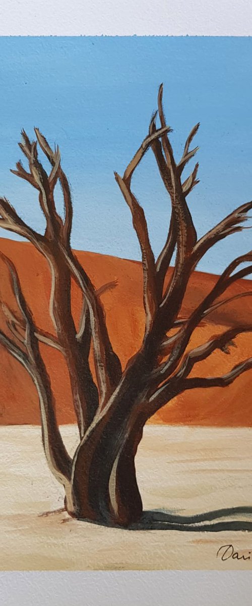 Desert Acacia by Daria Startseva