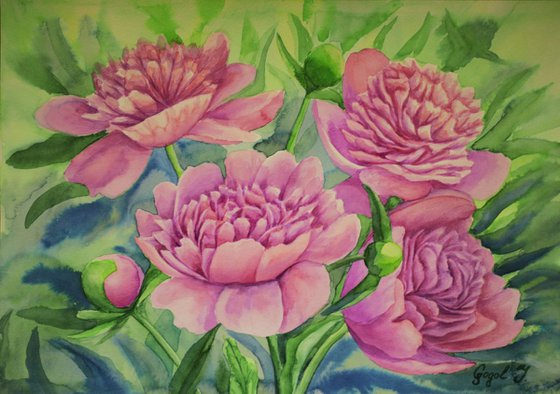 Pink peonies