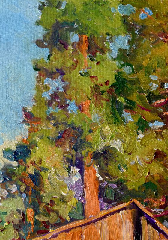 Old Cottage and Sequoia