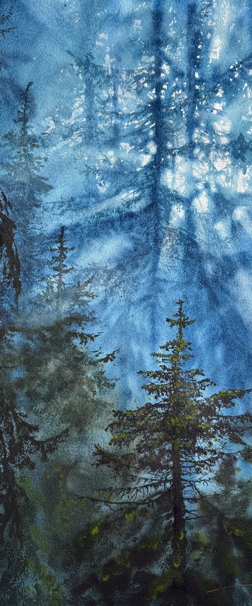 Forest light by Igor Dubovoy