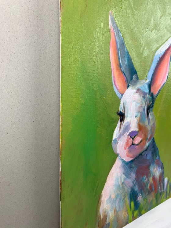 Colorful Rabbit.
