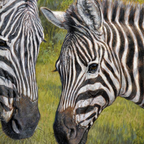 Zebras in the thick bush