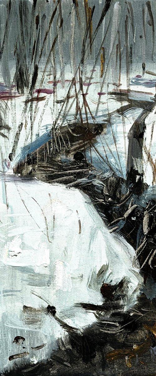 Silent Winter Stream by Paul Cheng