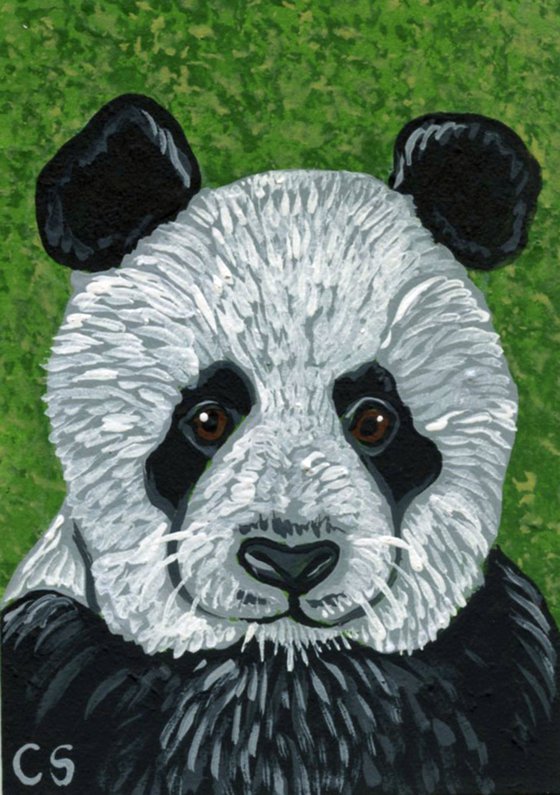 ACEO ATC Original Miniature Painting Panda Bear Wildlife Art-Carla Smale