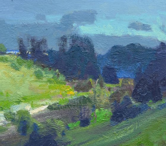 Summer Shadows