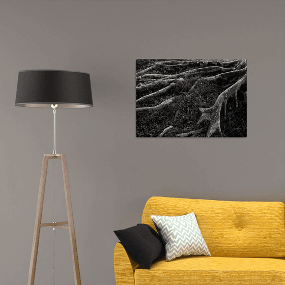 Roots I | Limited Edition Fine Art Print 1 of 10 | 75 x 50 cm