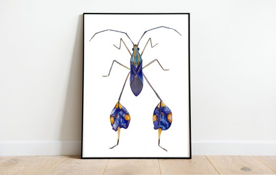 Flag bearer beetle in black blue gold, colourful representative of the insect world