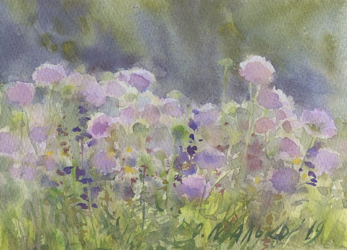 Summer flowering. Lavender purple / Meadow landscape Flowers sketch by Olha Malko