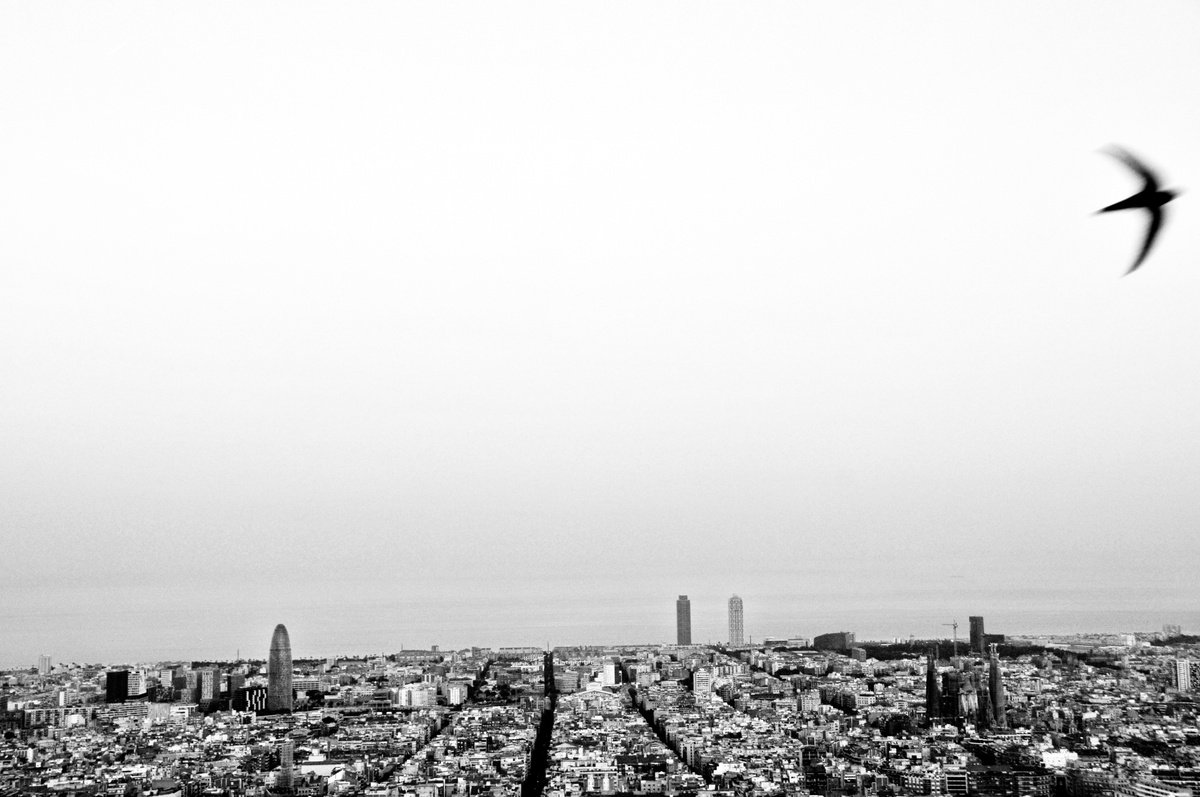 Graphic Landscape Photograph By Frankie Malone, 17 X 11, Freedom, Original Artwork