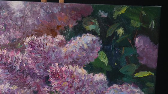 Sunny Lilacs - Lilacs painting