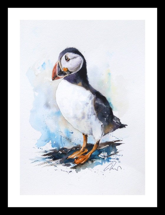 A Puffin.