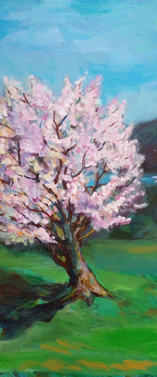 Blooming Cherry Tree by Oxana Raduga