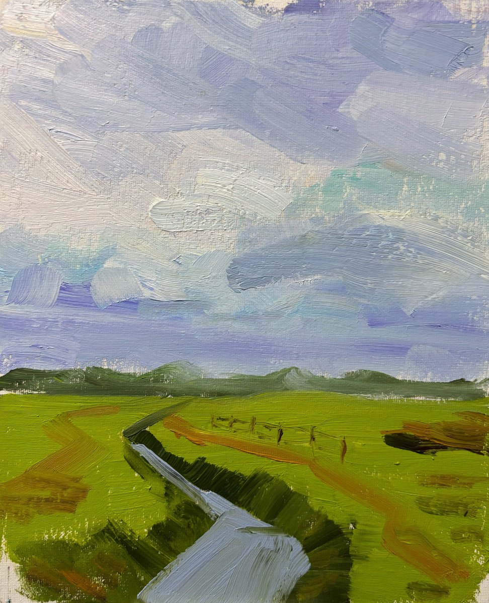 Impressionistic Botanical Oil Painting By Dmitry Fedorov, 9 X 12, Clouds Over The Field And Ditch, Original Artwork