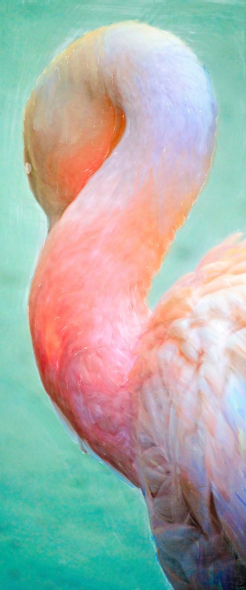 Napping Flamingo Digital Painting by Eugene Norris