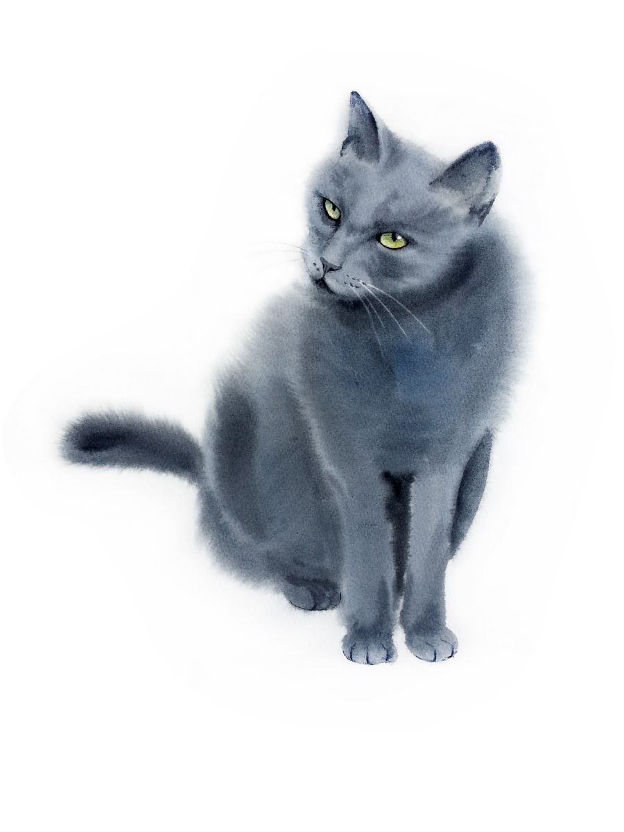 Серый кот акварелью