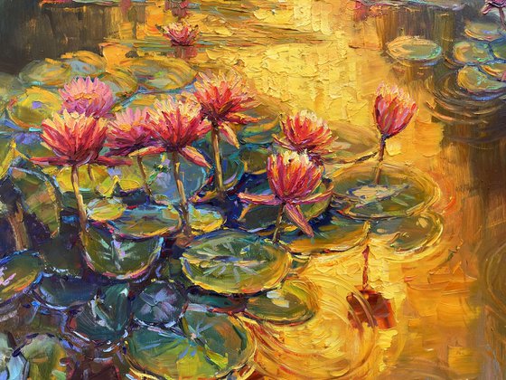 "Water lilies"