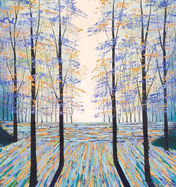 Beyond the Shimmering Forest