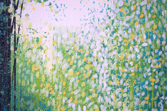 Summer Forest Path