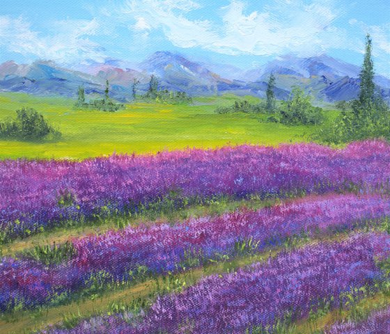 Lavender field 2