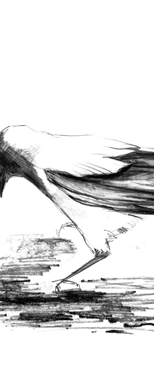 One Crow Adventures I by Anna Lyashenko