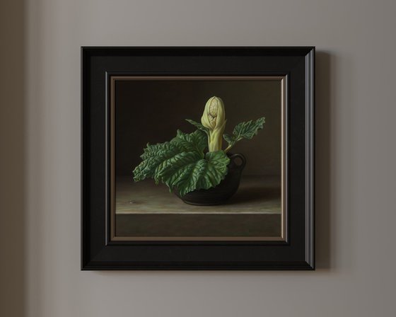 Rhubarb