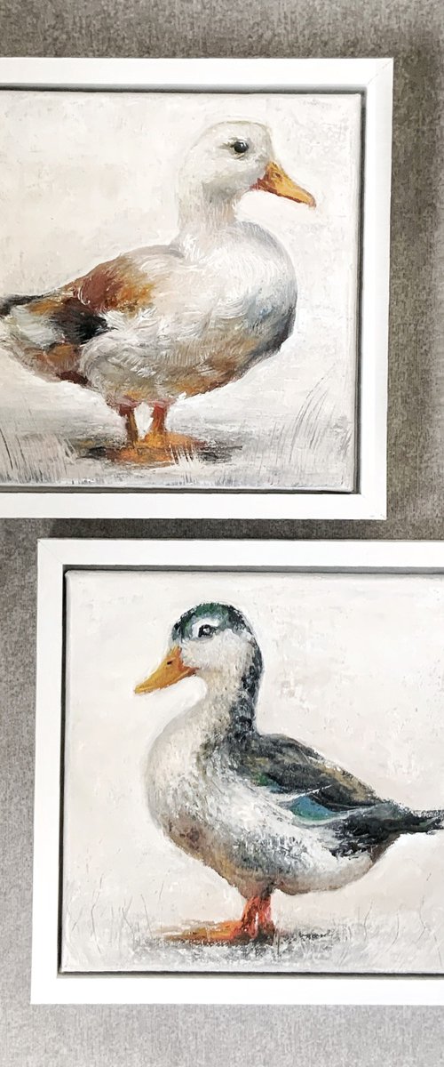 Ducks by Alena Post