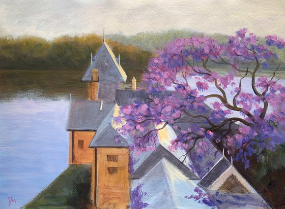 Fig tree house with jacaranda